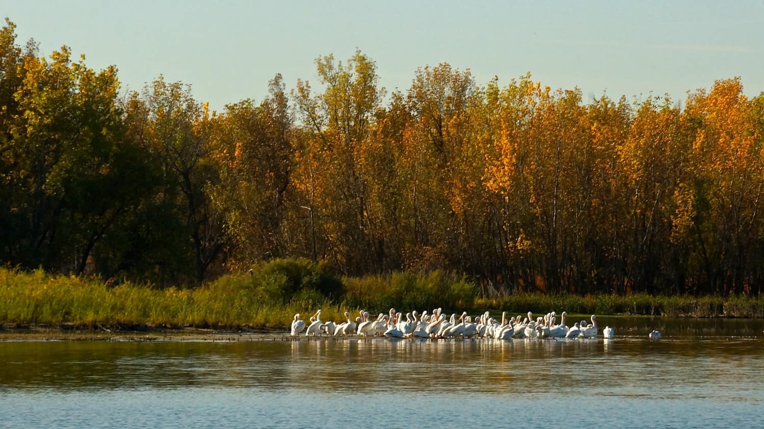 Cherry Creek State Park - Aurora, CO