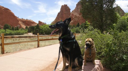 Garden of the Gods - Colorado Springs, CO