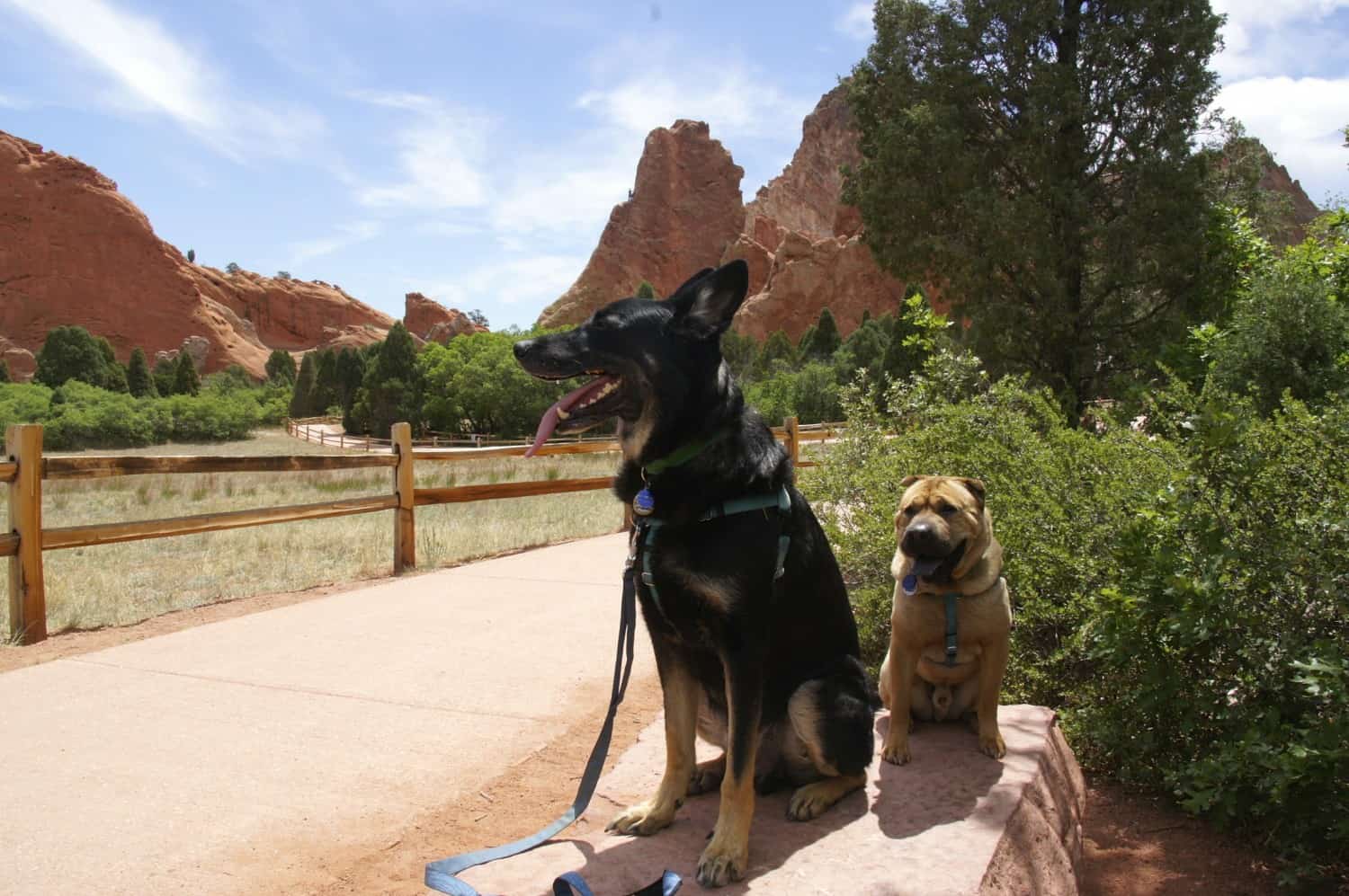 Garden of the Gods - Colorado Springs, CO