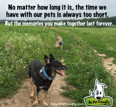 No matter how long it is, the time we have with our pets is always too short. But the memories you make together last forever.