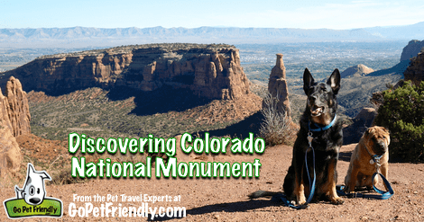 Discovering Colorado National Monument from the Pet Travel Experts at GoPetFriendly.com