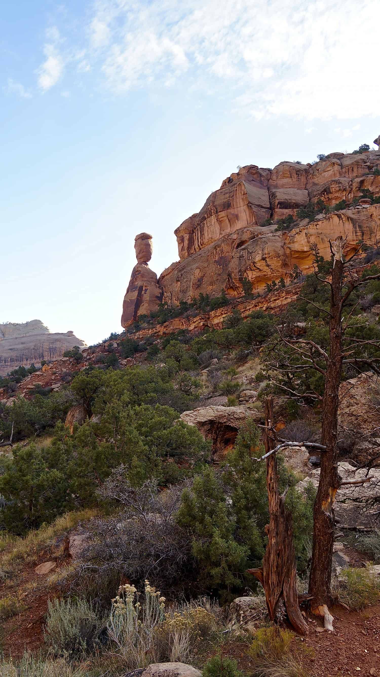 Colorado National Monument - Fruita, CO