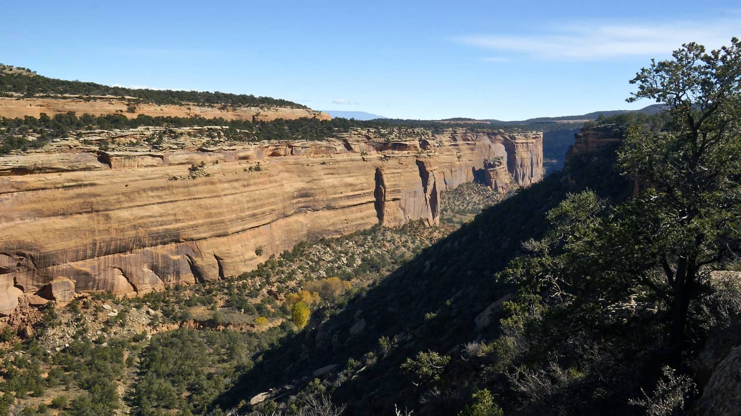 Colorado National Monument - Fruita, CO