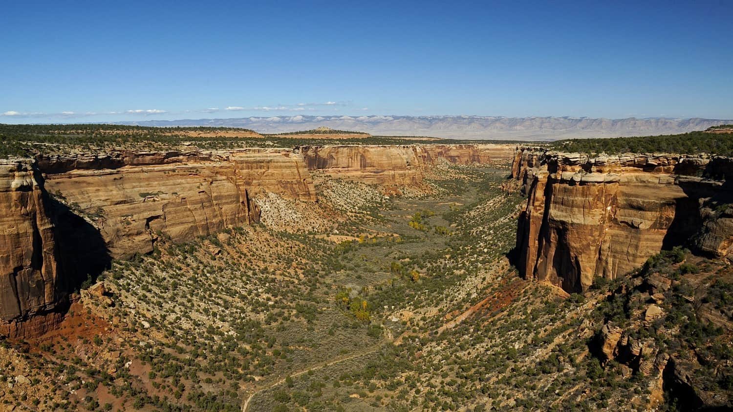 Colorado National Monument - Fruita, CO