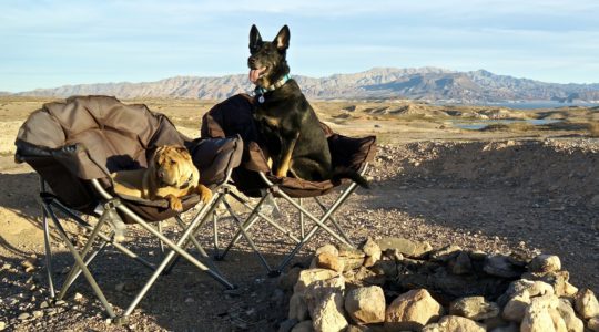 Government Wash - Lake Mead, NV