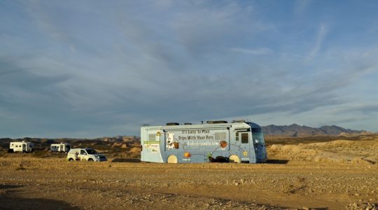 Government Wash - Lake Mead, NV