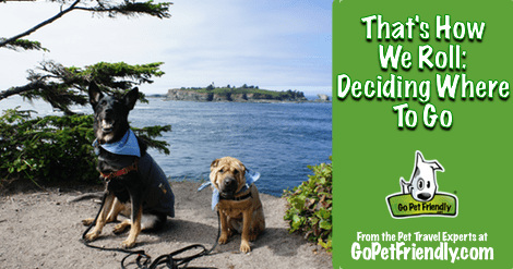 That's How We Roll: Deciding Where to Go from GoPetFriendly.com