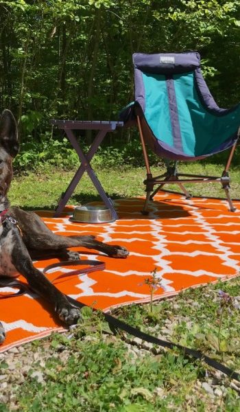 Brindle dog laying on an orange mat at a pet friendly campground