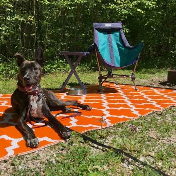 Brindle dog laying on an orange mat at a pet friendly campground