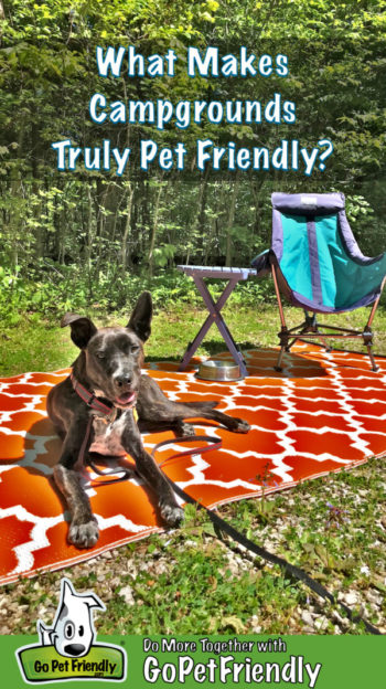 Brindle dog laying on an orange mat at a pet friendly campground