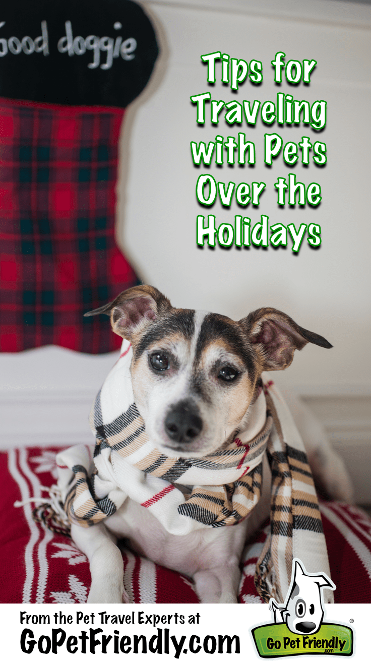Tips for Traveling With Pets Over the Holidays from the Pet Travel Experts at GoPetFriendly.com