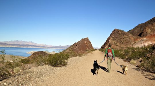 Buster, Ty, and Rod - Lake Mead, NV