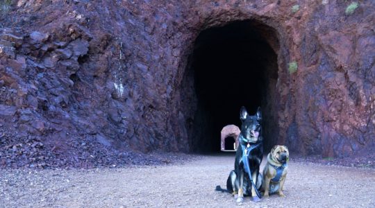 Buster and Ty - Lake Mead, NV