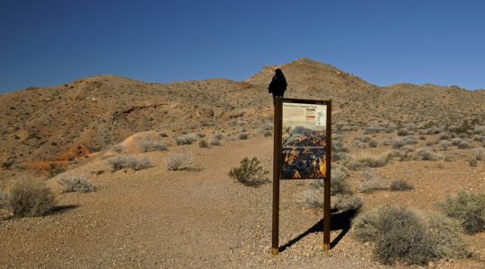 Lake Mead, NV