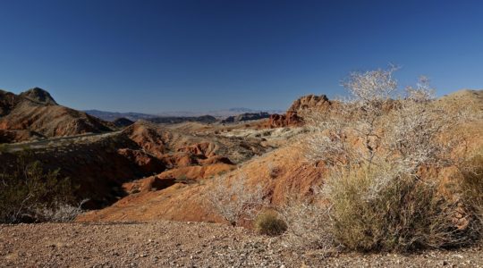 Lake Mead, NV