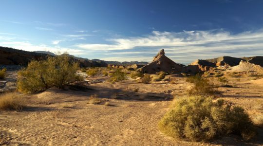 Gypsum Wash - Lake Mead, NV