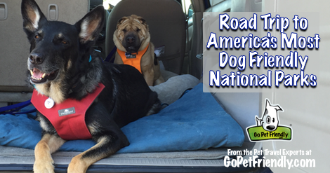 Road Trip to America's Most Dog Friendly National Parks
