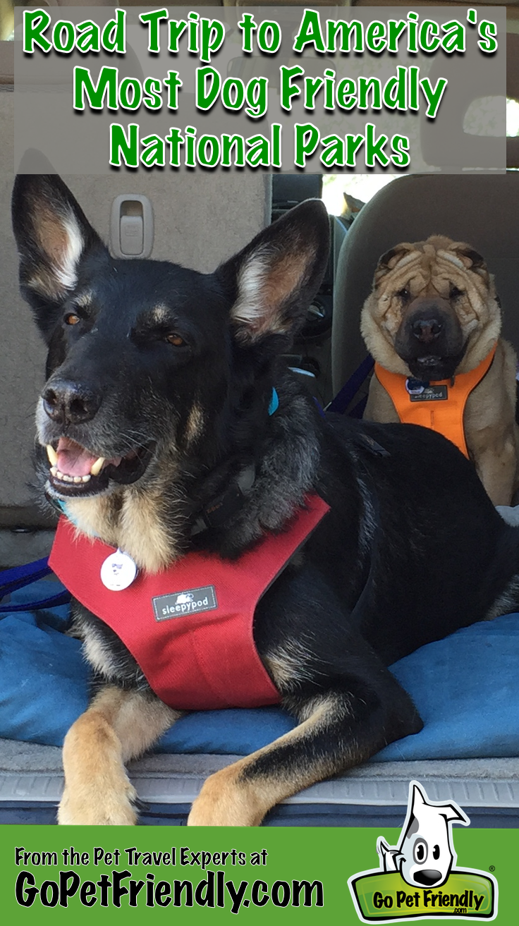 Road Trip to America's Most Dog Friendly National Parks from the Pet Travel Experts at GoPetFriendly.com