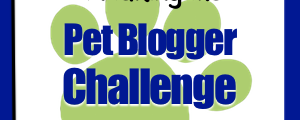 Join the Pet Blogger Challenge on January 9th, 10th, and 11th