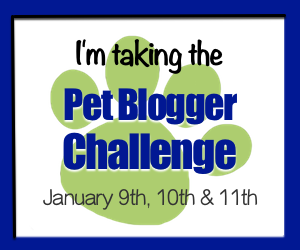 Join the Pet Blogger Challenge on January 9th, 10th, and 11th