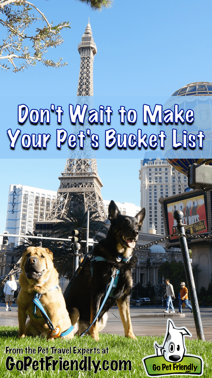 Don't Wait to Make Your Pet's Bucket List - From the Pet Travel Experts at GoPetFriendly.com
