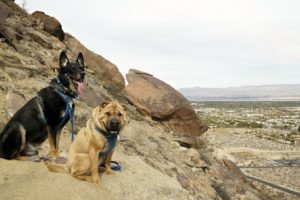South Lykken Trail - Palm Springs, CA