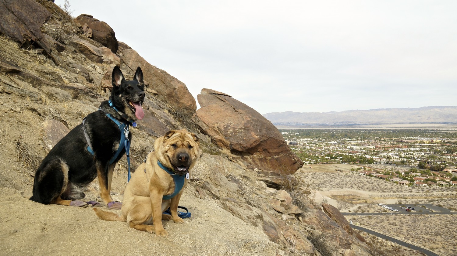 South Lykken Trail - Palm Springs, CA