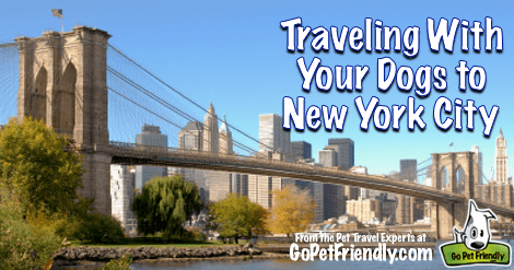 Traveling With Your Dogs to New York City from the Pet Travel Experts at GoPetFriendly.com