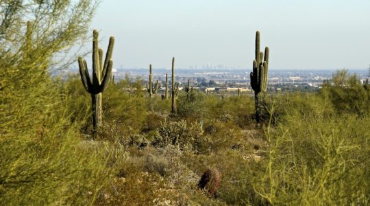 White Tank Mountain Regional Park - Phoenix, AZ