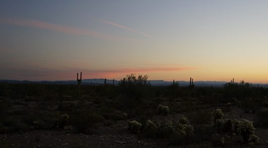 White Tank Mountain Regional Park - Phoenix, AZ