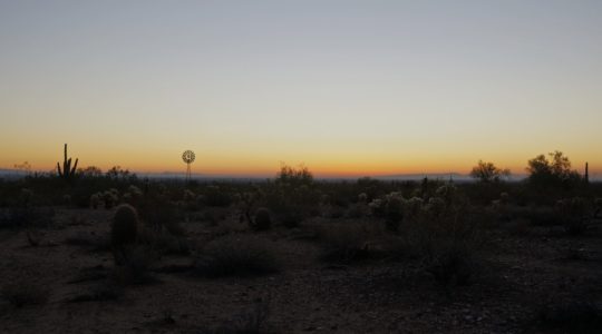 White Tank Mountain Regional Park - Phoenix, AZ