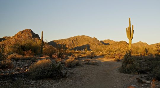 White Tank Mountain Regional Park - Phoenix, AZ