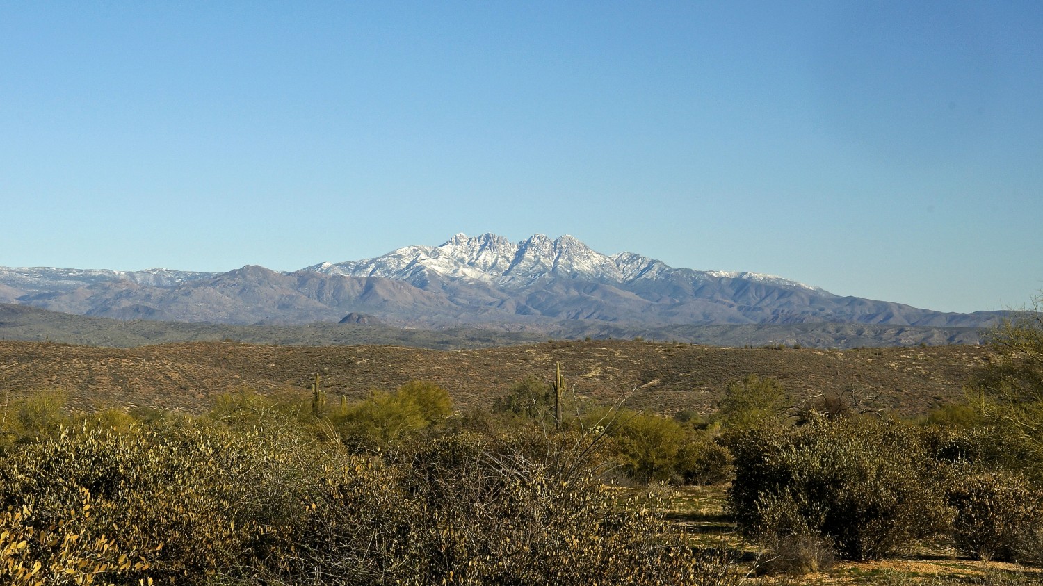 McDowell Mountain Regional Park - Phoenix, AZ