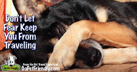 Don't Let Fear Keep You From Traveling From the Pet Travel Experts at GoPetFriendly.com