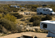 RVs in the pet friendly campground at McDowell Mountain Regional Park near Phoenix, AZ