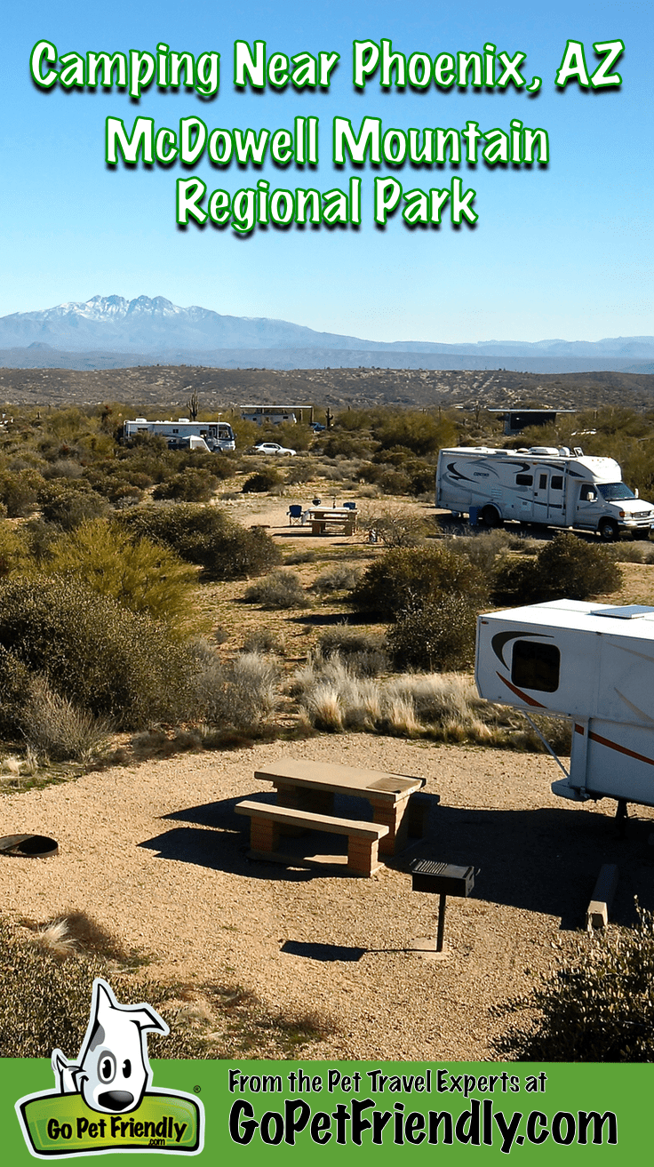 RVs in the pet friendly campground at McDowell Mountain Regional Park near Phoenix, AZ