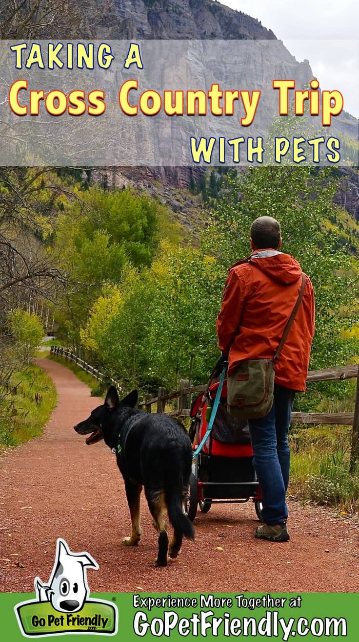 cross country travel with pets