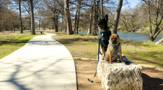 Dog Friendly River Trail in Kerrville, T