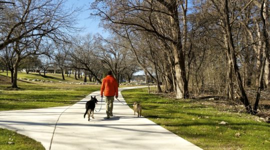 Dog Friendly River Trail in Kerrville, T