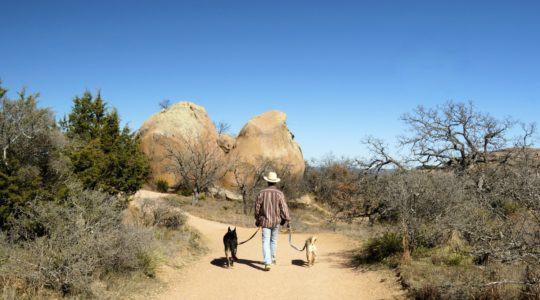 Enchanted Rock with Dogs - Hill Country, TX