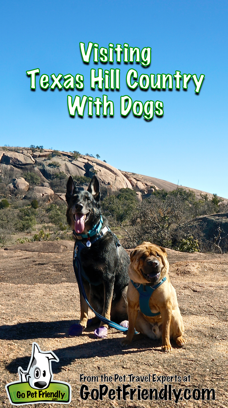 Visiting Texas Hill Country With Dogs from the Pet Travel Experts at GoPetFriendly.com