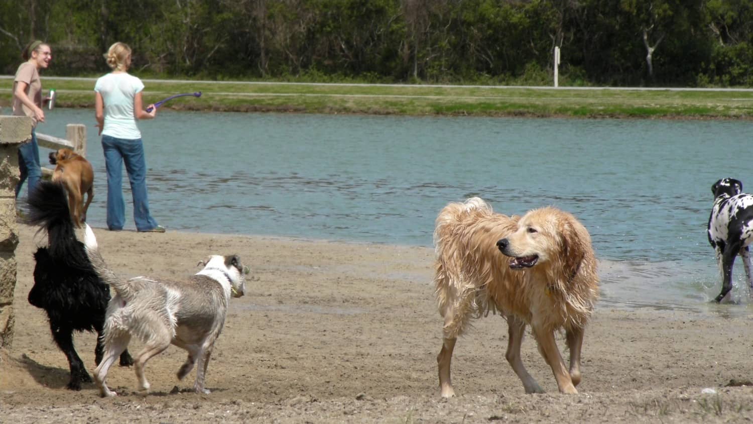 James Island Dog Park - Charleston, SC