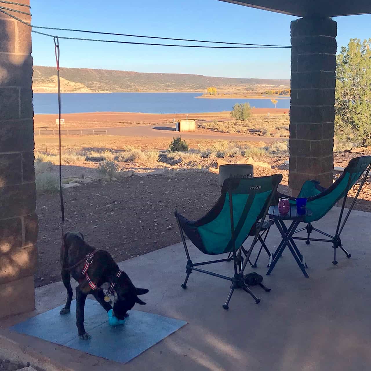 Brindle dog on a zip line while camping at a pet friendly campground overlooking a lake