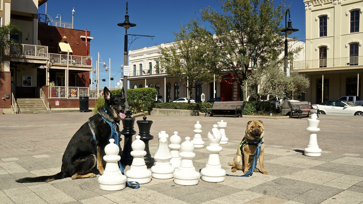 The Strand - Galveston, TX