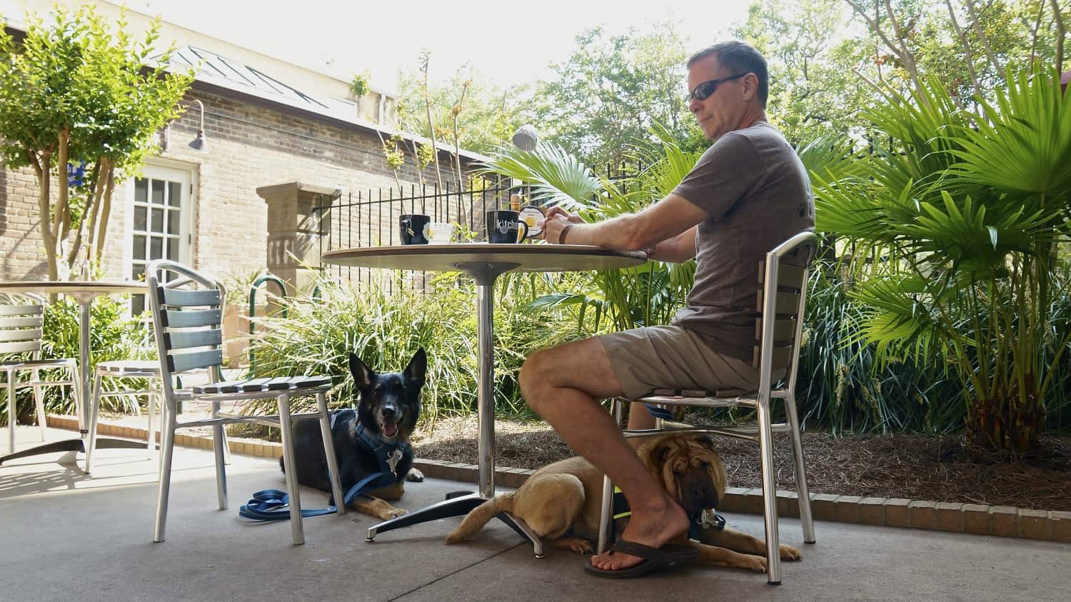 Two dogs laying under a table at a pet friendly restaurant in Charleston, SC