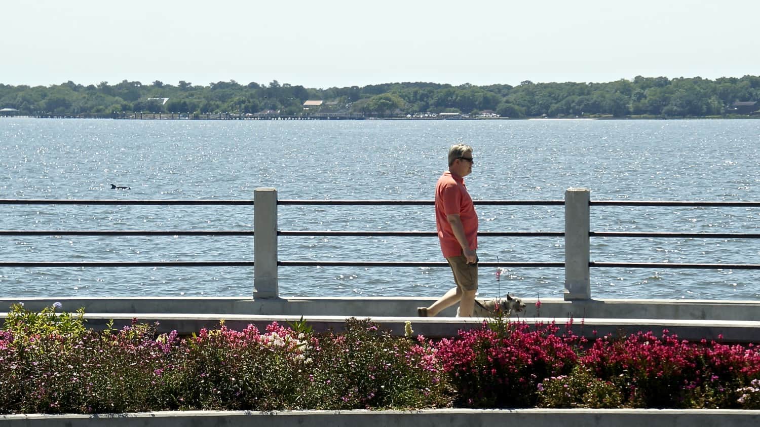 The Battery - Charleston, SC