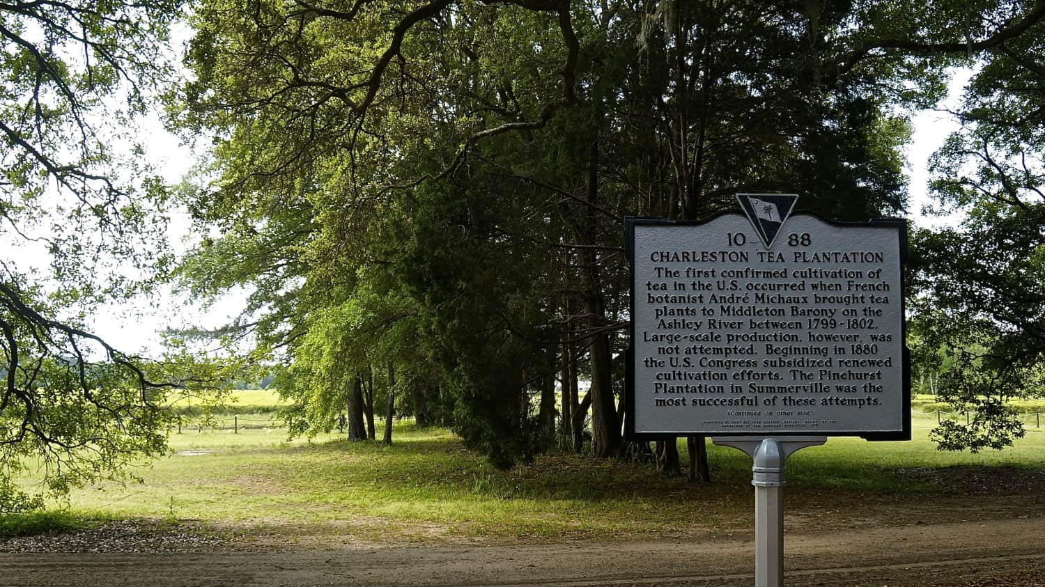 Charleston Tea Plantation - Charleston, SC