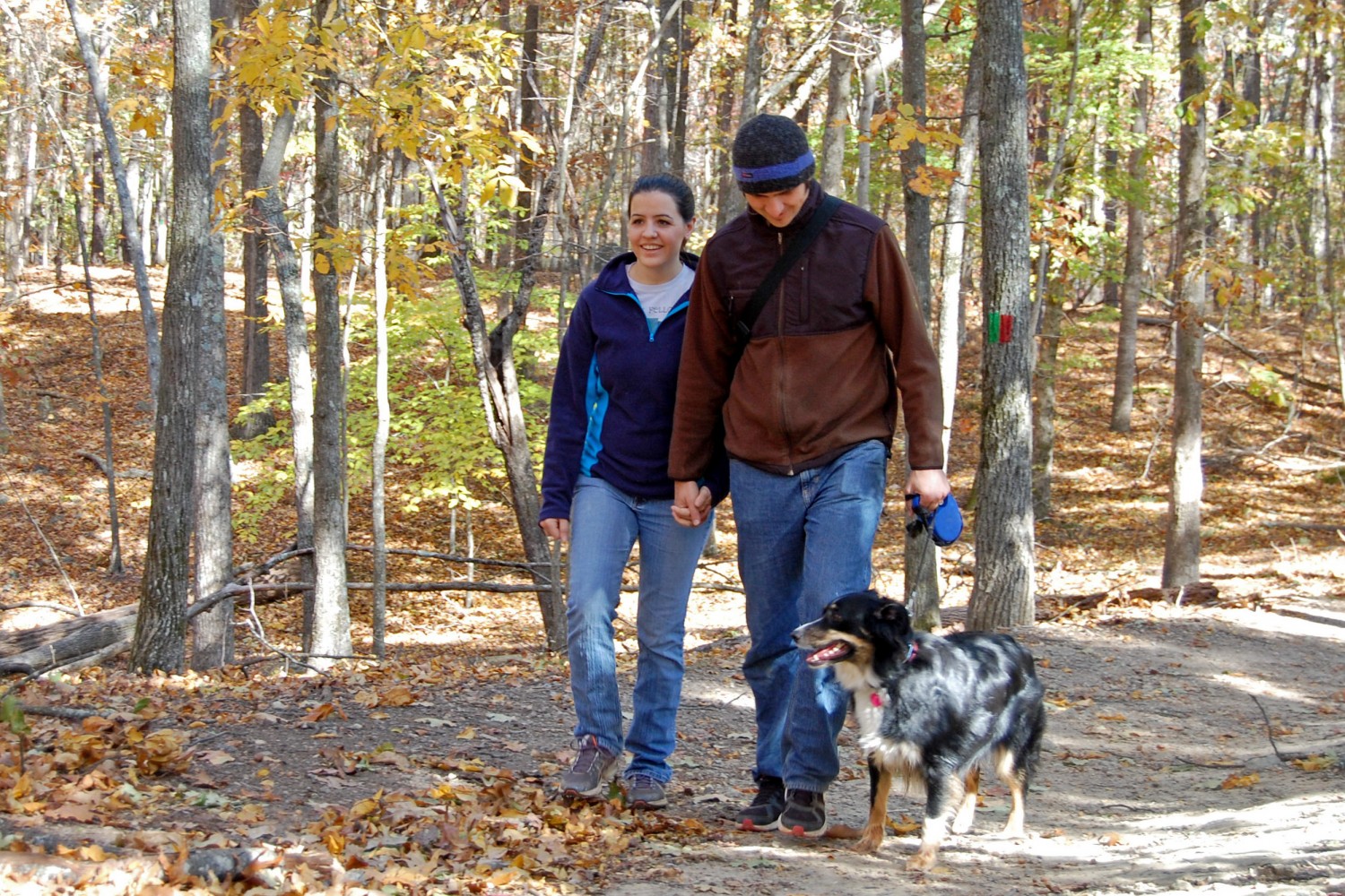 are dogs allowed in georgia state parks