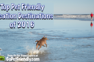 Top Pet Friendly Vacation Destinations of 2016