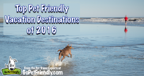 Top Pet Friendly Vacation Destinations of 2016